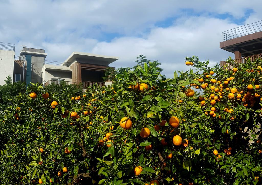 Jeju Eco Suites Seogwipo Ngoại thất bức ảnh