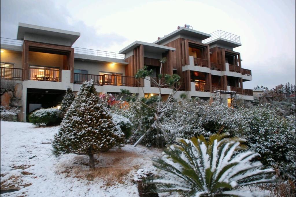 Jeju Eco Suites Seogwipo Ngoại thất bức ảnh