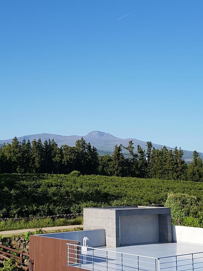 Jeju Eco Suites Seogwipo Ngoại thất bức ảnh