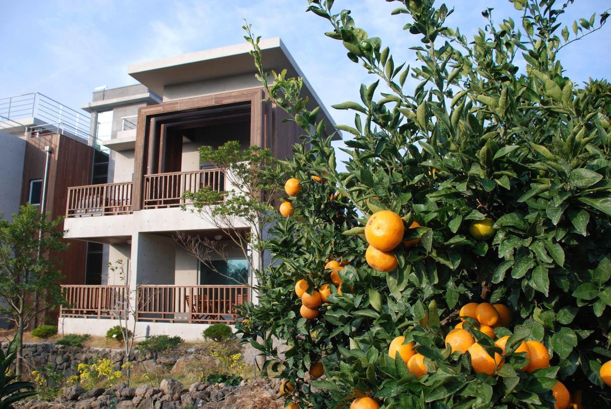 Jeju Eco Suites Seogwipo Ngoại thất bức ảnh