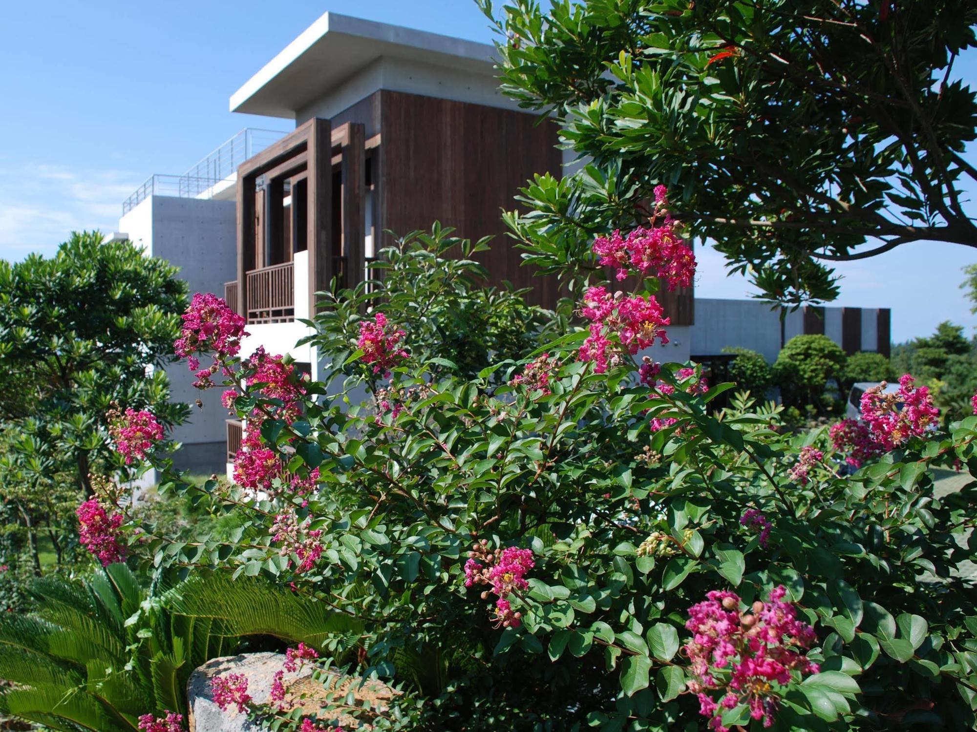 Jeju Eco Suites Seogwipo Ngoại thất bức ảnh