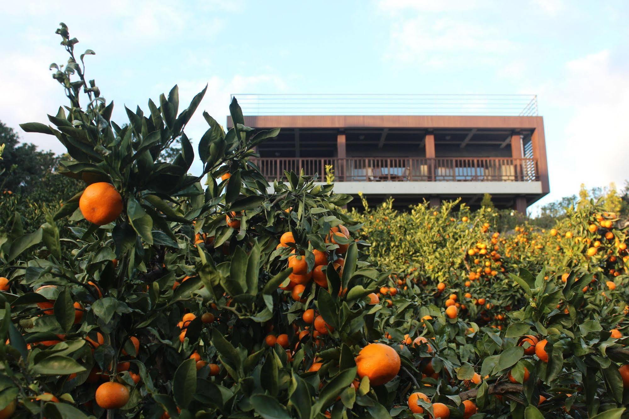 Jeju Eco Suites Seogwipo Ngoại thất bức ảnh