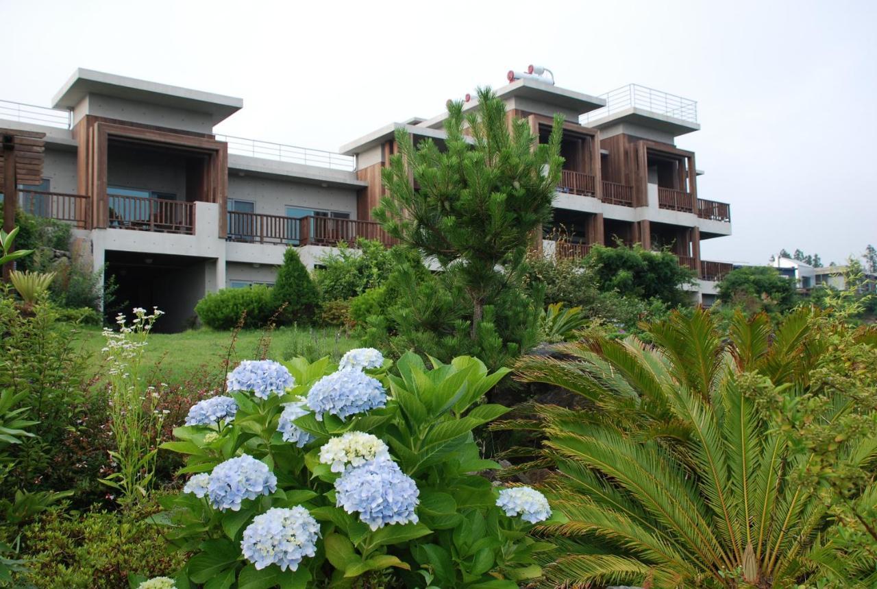 Jeju Eco Suites Seogwipo Ngoại thất bức ảnh